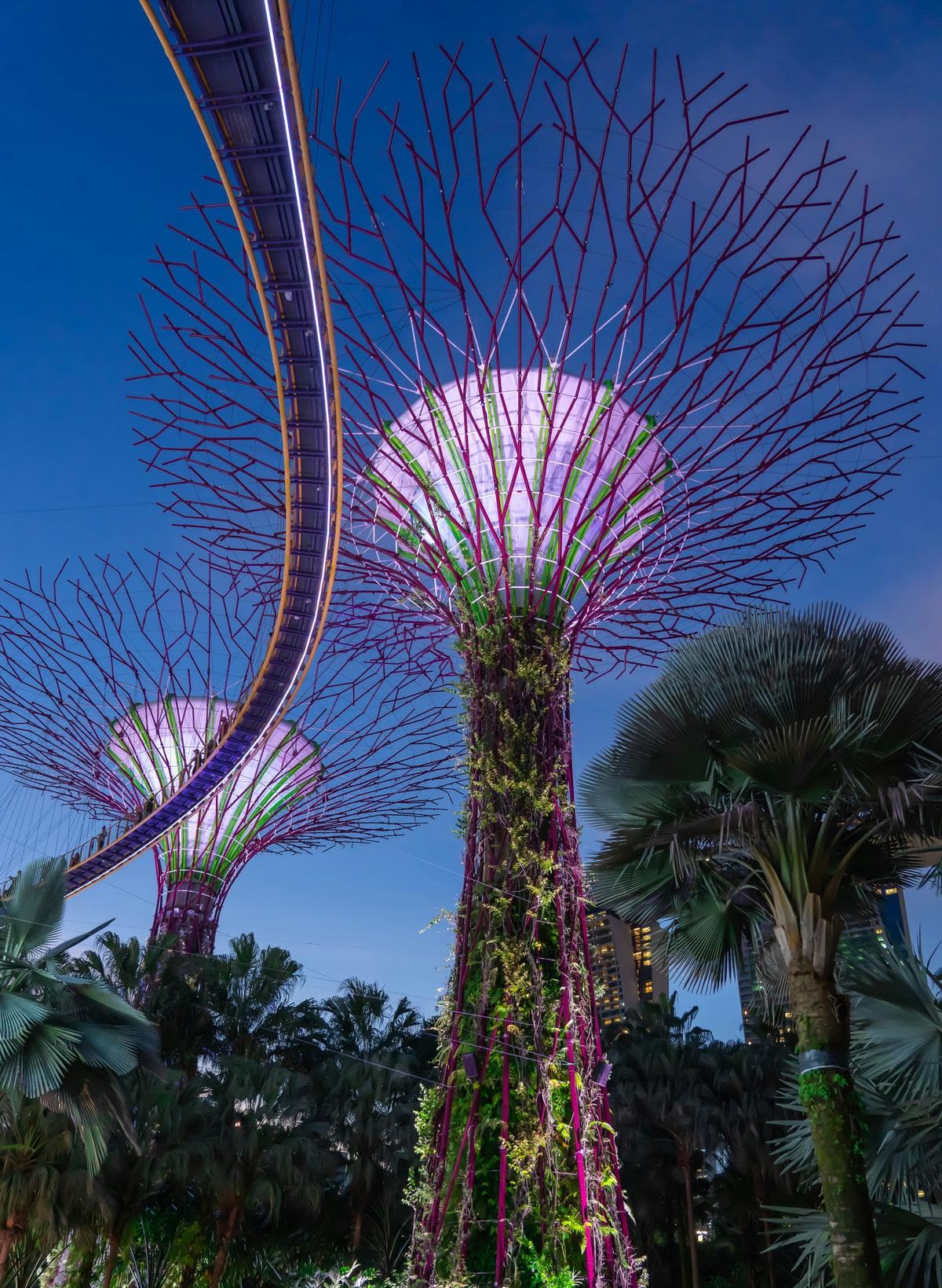 Gardens by the Bay, Singapore